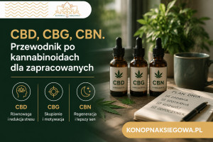CBD, CBG, CBN. Przewodnik po kannabinoidach dla zapracowanych