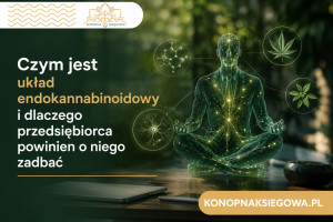 Czym jest układ endokannabinoidowy i dlaczego przedsiębiorca powinien o niego zadbać