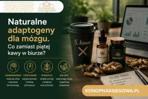 Naturalne adaptogeny dla mózgu. Co zamiast piątej kawy w biurze