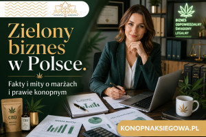 Zielony biznes w Polsce. Fakty i mity o marżach i prawie konopnym