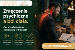 Zmęczenie psychiczne a ból ciała. Jak stres biznesowy odkłada się w tkankach